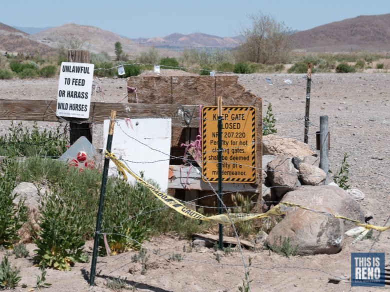 The gate at the end of Rio Wrangler Parkway has been repeatedly vandalized, according to City of Reno officials. A makeshift fence now blocks traffic, and signs warn against feeding horses and trespassing on the property. Image: Bob Conrad / This Is Reno, May 17, 2022.