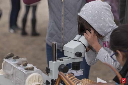 A child looks through a microscope at UNR's Field Day.