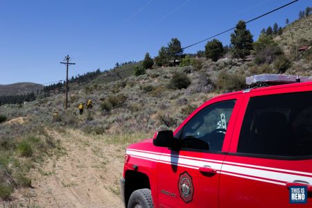 A crew from the Wildland Fire Fuels Reduction Division. Image: Trevor Bexon