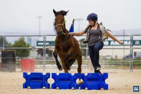 A participant in the 4-H Horse Program shows off her wild horse's skills.
