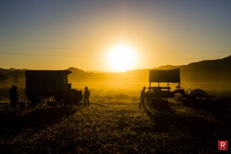 Hundreds of cattle, clouds of dust, and days on horseback doing the hard work of a cowboy are all a part of the annual Reno Rodeo Cattle Drive. But the days are punctuated with moments of calm, as captured here with a 6 a.m. sunrise. Photo: Ty O'Neil.