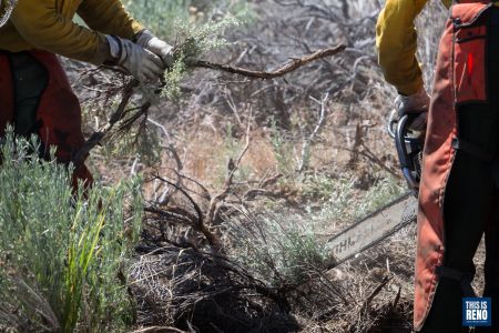 A crew from the Wildland Fire Fuels Reduction Division. Image: Trevor Bexon